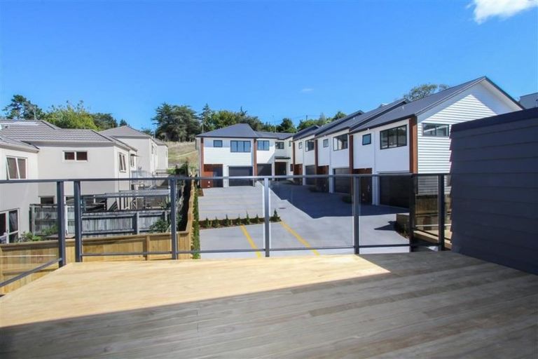 Photo of property in 18u5 Hunter Street, Hamilton Lake, Hamilton, 3204