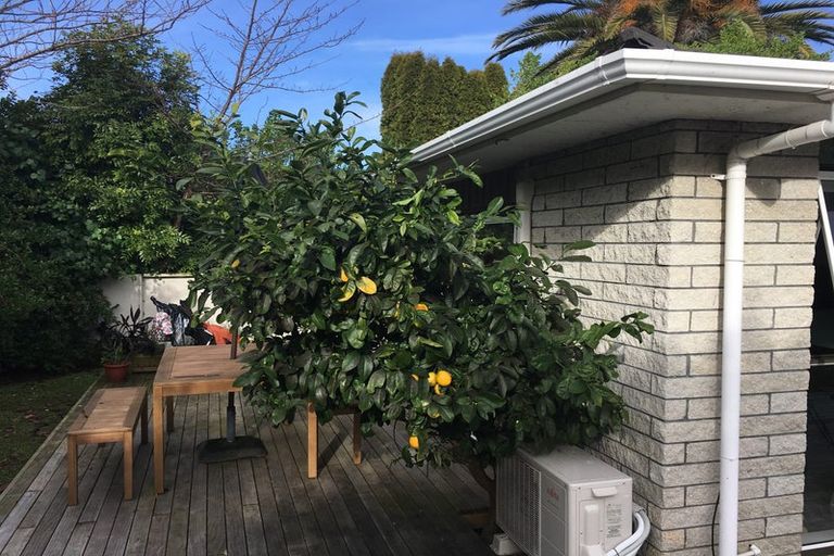 Photo of property in 28 Kanawa Street, Waikanae, 5036