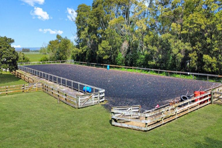 Photo of property in 97f Poplar Lane, Edgecumbe, Whakatane, 3192