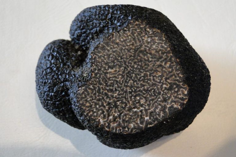 Photo of property in Heritage, 1420 Matapiro Road, Crownthorpe, Hastings, 4179