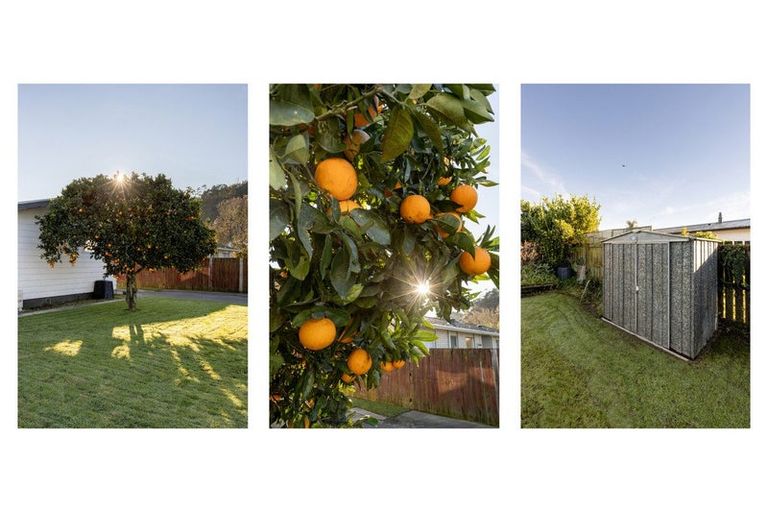 Photo of property in 16 Arawa Road, Whakatane, 3120