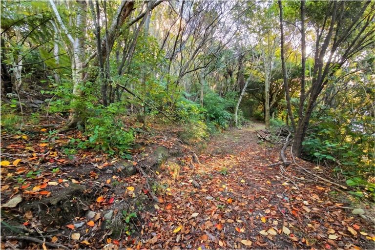 Photo of property in 73 Valley Road, Paraparaumu, 5032