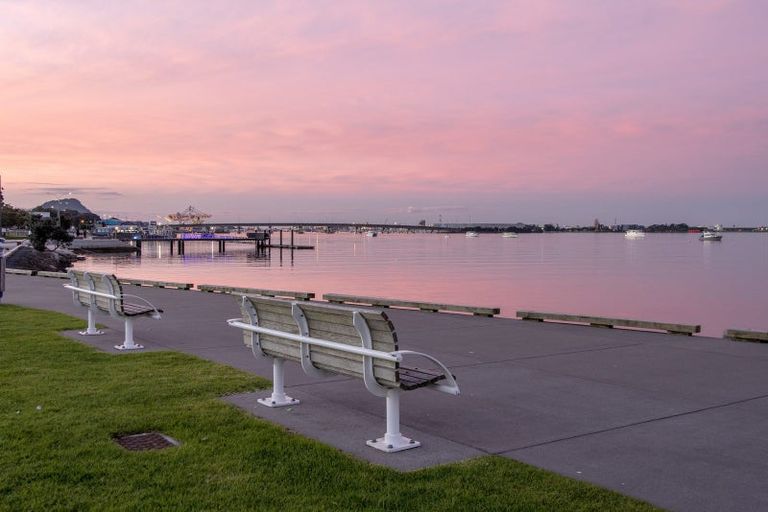 Photo of property in 6 Durham Street, Tauranga, 3110