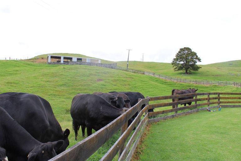Photo of property in 529 Tangowahine Valley Road, Tangowahine, Dargaville, 0372