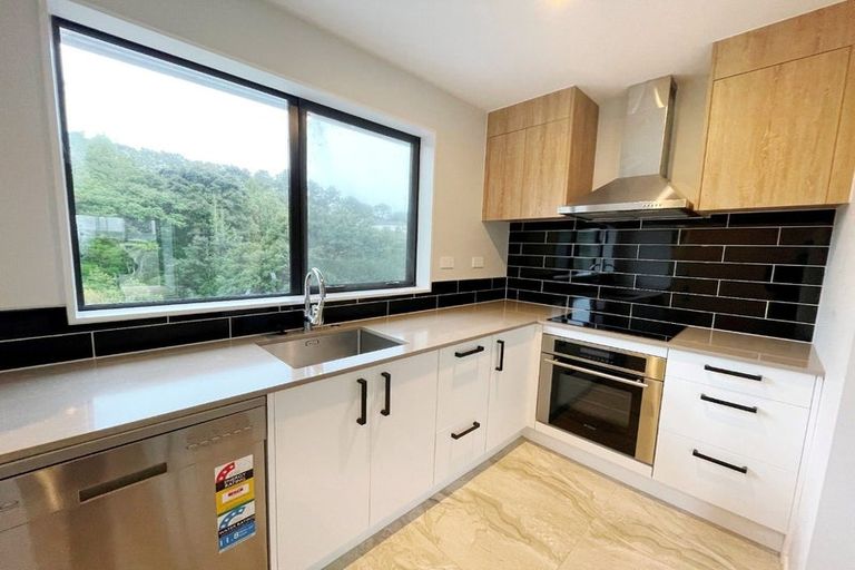 Photo of property in 66 Makamaka Lane, Albany Heights, Auckland, 0632