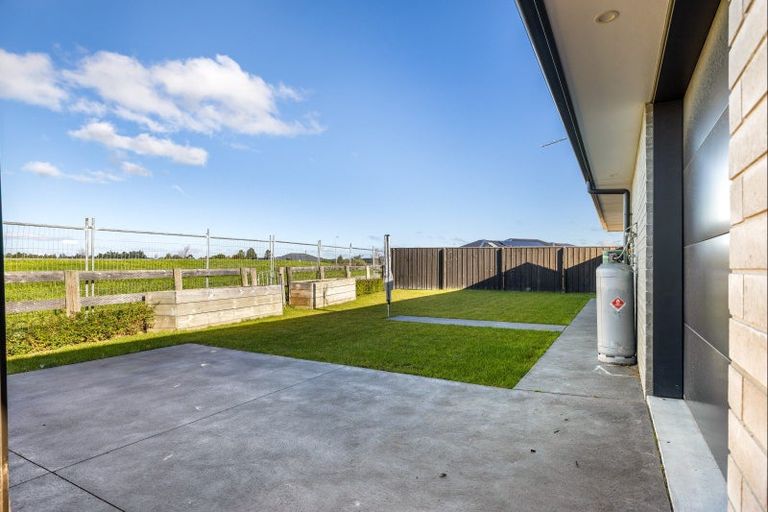 Photo of property in 8 Plover Avenue, Amberley, 7410