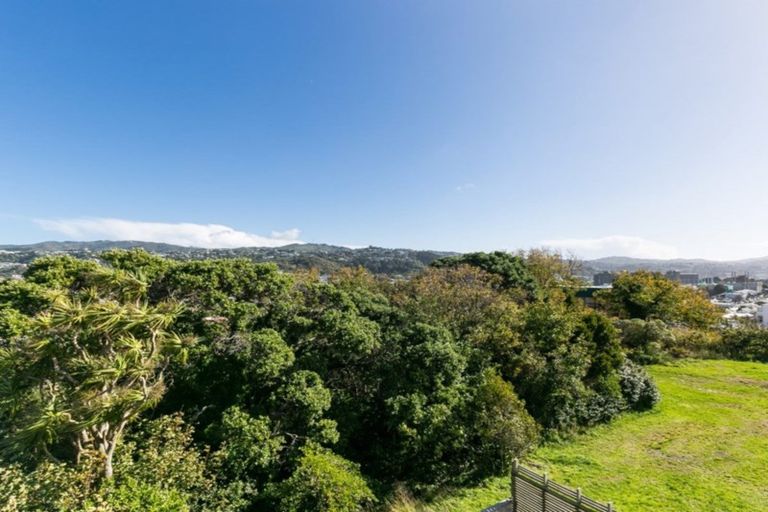 Photo of property in 134a Coromandel Street, Newtown, Wellington, 6021