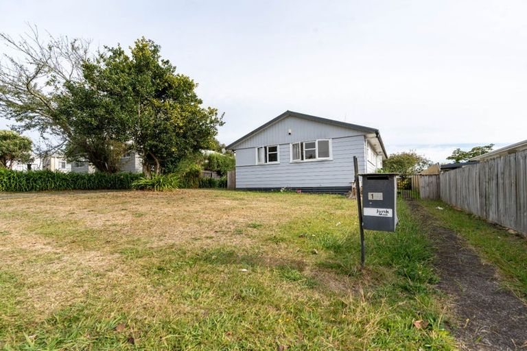 Photo of property in 16 Mcintosh Street, Chartwell, Hamilton, 3210