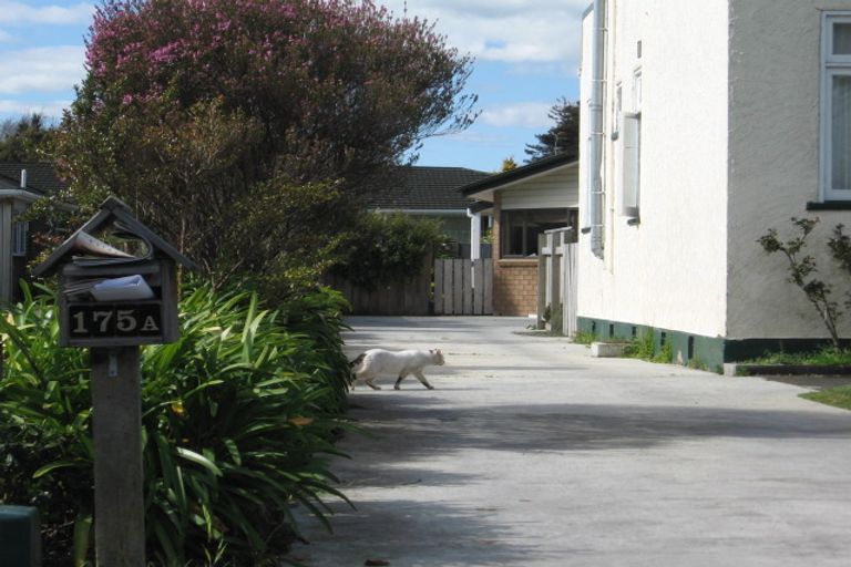 Photo of property in 177a Cook Street, West End, Palmerston North, 4410