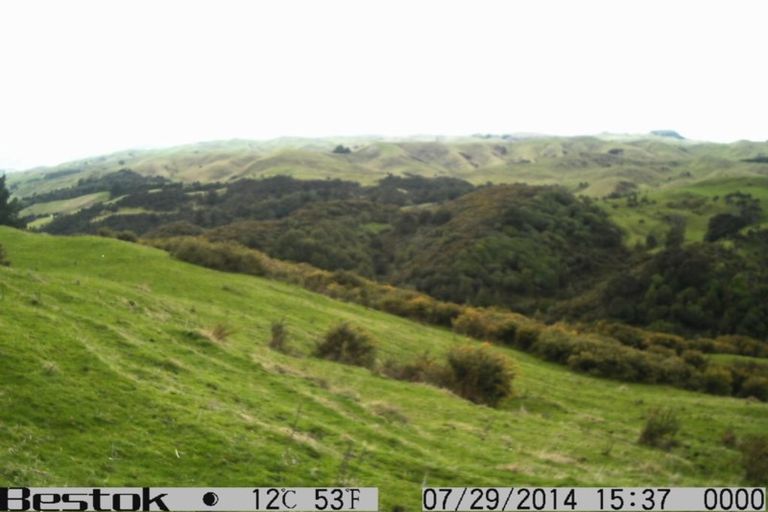 Photo of property in 41 Stewart Street, Marton, 4710