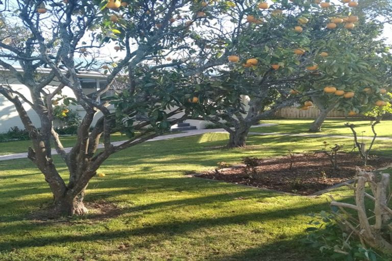 Photo of property in 318 Maungatapu Road, Maungatapu, Tauranga, 3112