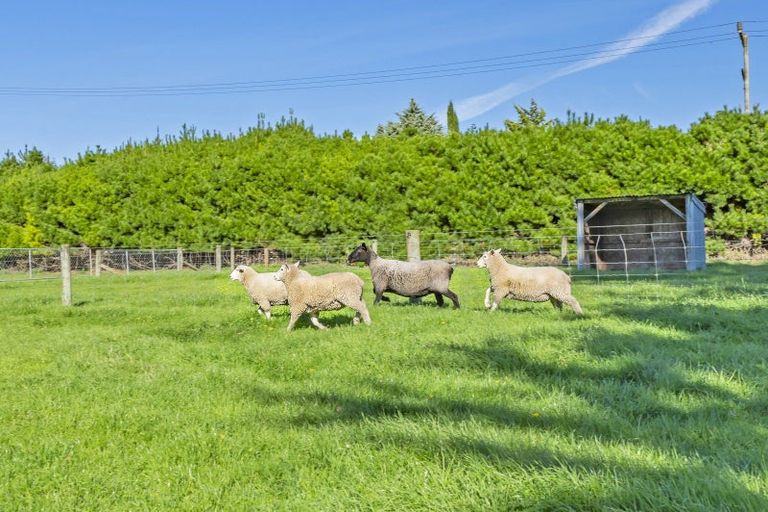 Photo of property in 101 Old Bridge Road North, Springston, Christchurch, 7674