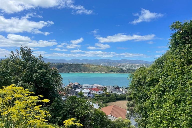 Photo of property in 6b Peranga Terrace, Hataitai, Wellington, 6021