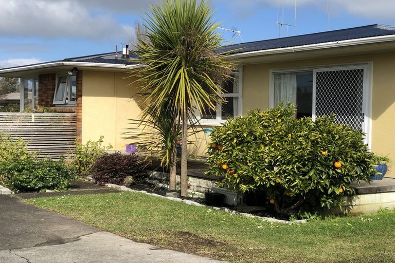 Photo of property in 12 Jennifer Place, Chartwell, Hamilton, 3210