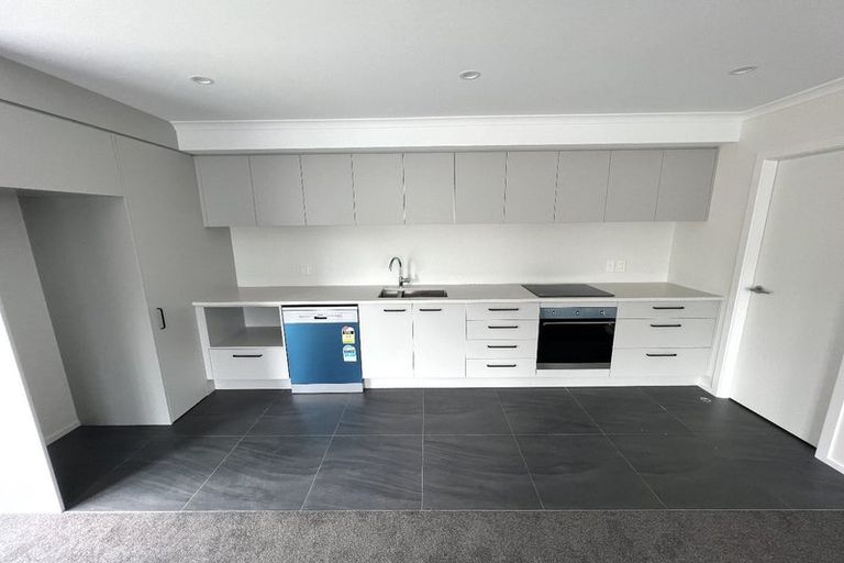 Photo of property in 101 Daniell Street, Newtown, Wellington, 6021