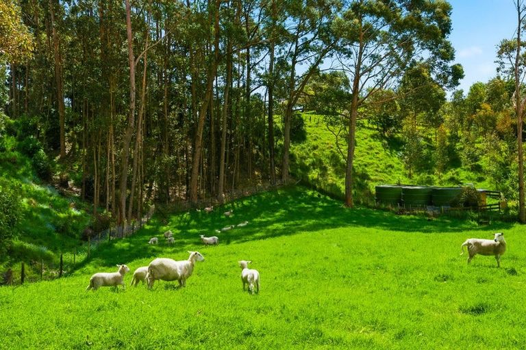 Photo of property in 340d Ngarara Road, Waikanae, 5391