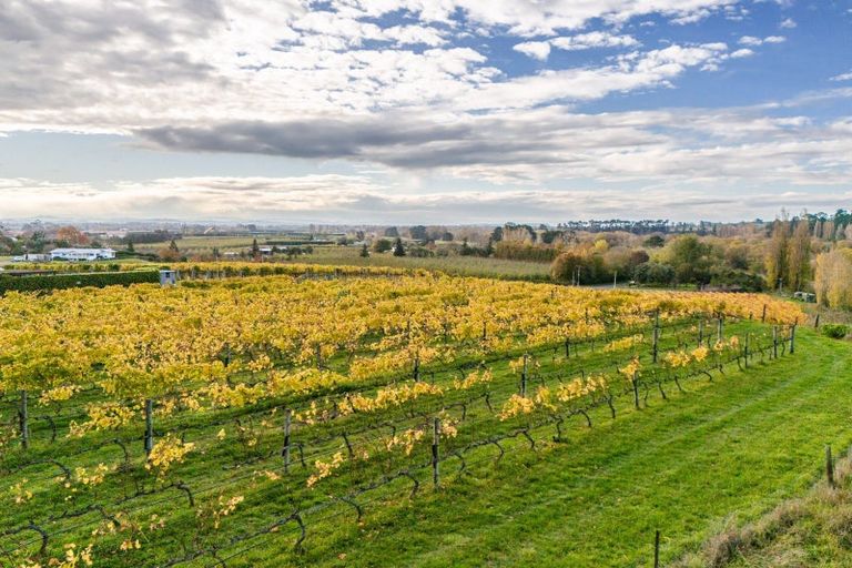 Photo of property in 56 River Road, Havelock North, 4294