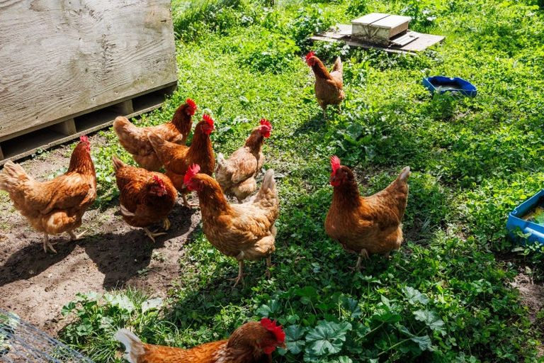 Photo of property in 1331 Rongotea Road, Kairanga, Palmerston North, 4475