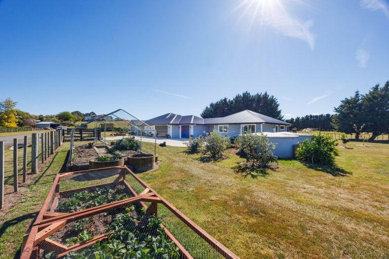Photo of property in 192a Awahuri Feilding Road, Feilding, 4775