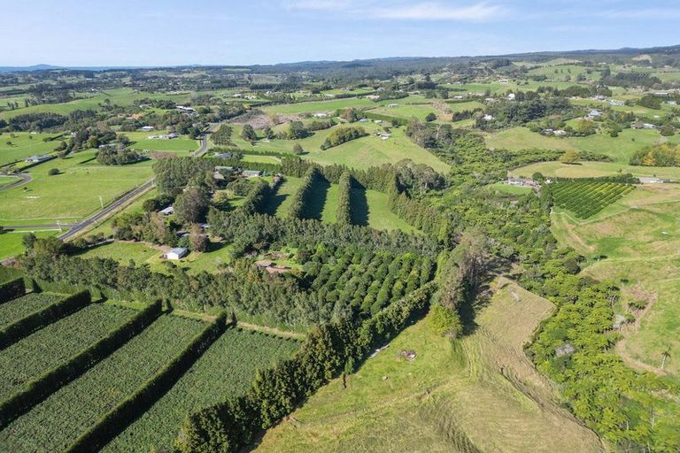 Photo of property in 486 Esdaile Road, Whakamarama, Tauranga, 3180
