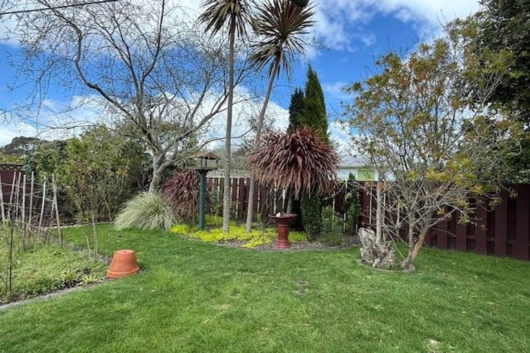 Photo of property in 96 Fitzroy Avenue, Fitzroy, Hamilton, 3206