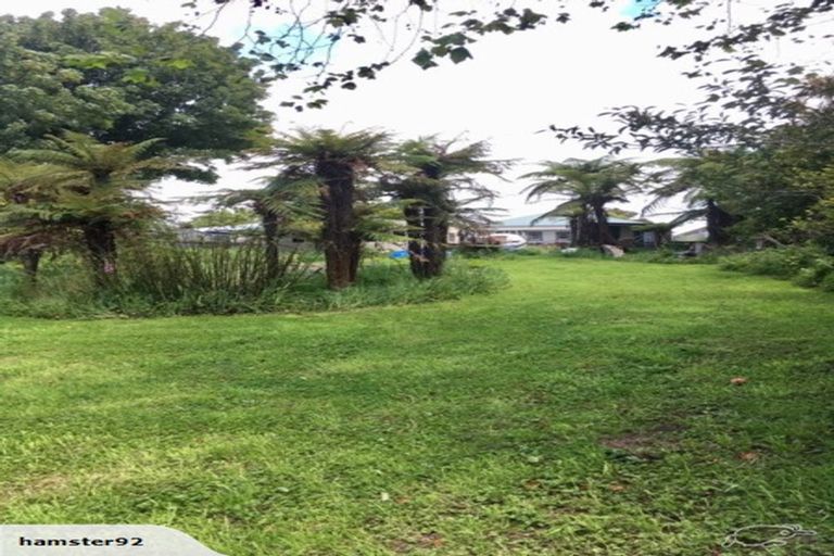 Photo of property in 12 Olivia Street, Stratford, 4332