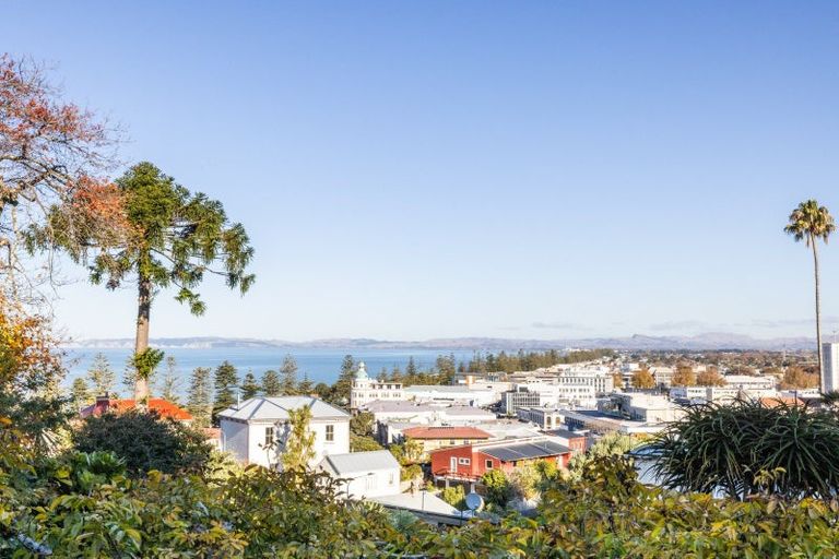 Photo of property in 24 Brewster Street, Bluff Hill, Napier, 4110