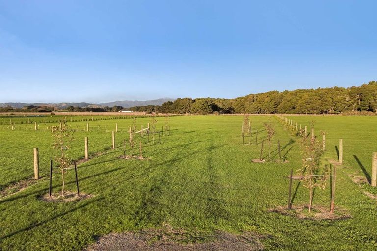 Photo of property in 35 Woven Stone Way, Ohau, 5570