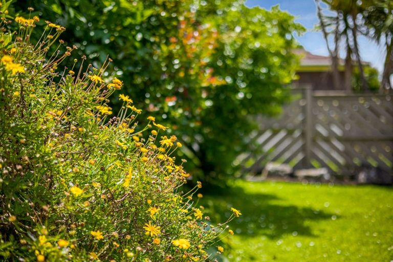 Photo of property in 1/262 Don Buck Road, Massey, Auckland, 0614