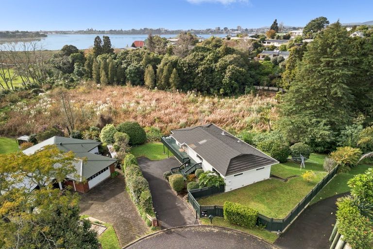 Photo of property in 18 Waikareao Way, Brookfield, Tauranga, 3110