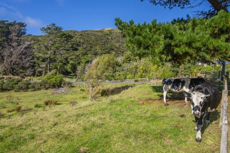 Photo of property in 306 South Makara Road, Makara, Karori, 6972