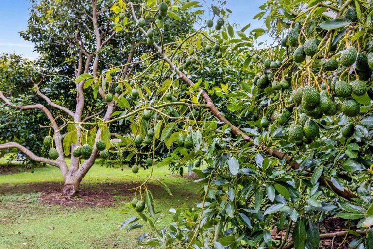 Photo of property in 513 Smart Road, Hillsborough, New Plymouth, 4372