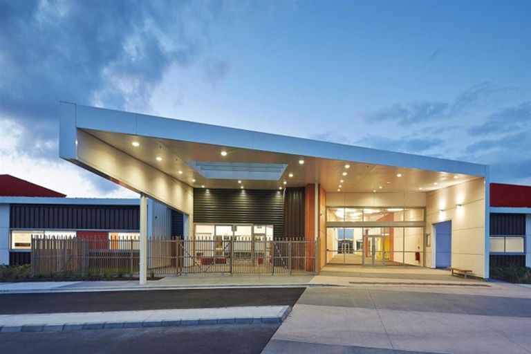 Photo of property in 71 Waterlily Street, Hobsonville, 0616