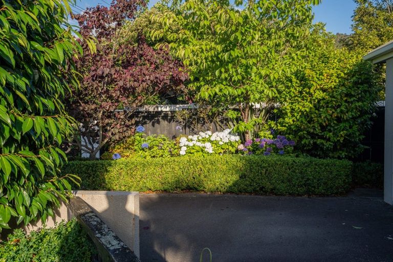 Photo of property in 20a Ngaio Road, Waikanae, 5036