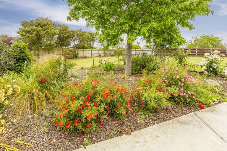 Photo of property in 17 Rose Street, Waipukurau, 4200