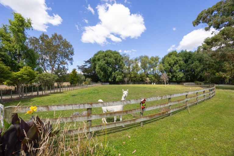 Photo of property in 179 Watershed Road, Bunnythorpe, Palmerston North, 4470