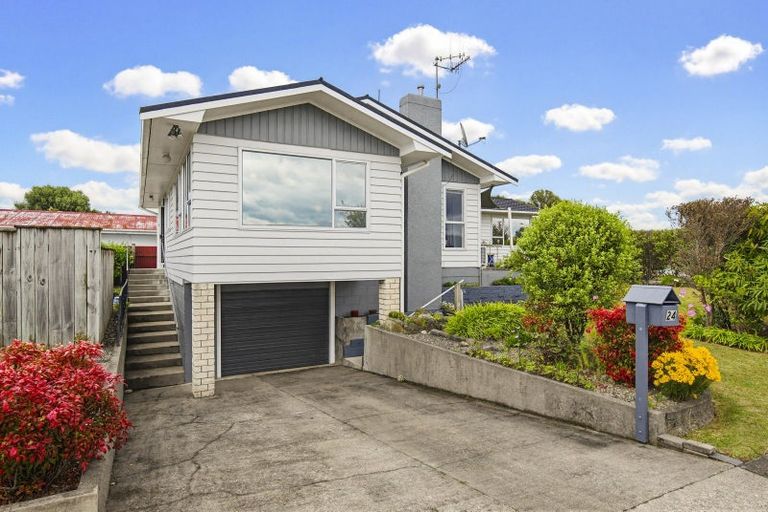 Photo of property in 24 Featherston Street, Levin, 5510