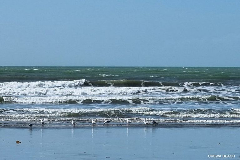 Photo of property in 305 Hibiscus Coast Highway, Orewa, 0931