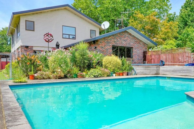 Photo of property in 162b King Street, Whakatane, 3120