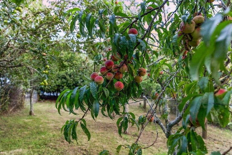 Photo of property in 61 Gelling Road, Ararimu, Papakura, 2583
