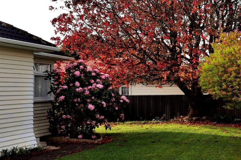 Photo of property in 39 Whittaker Street, Shannon, 4821