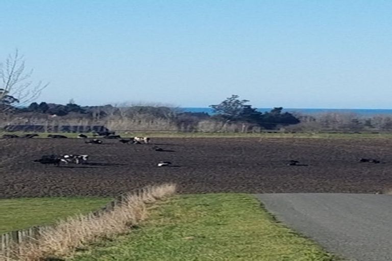 Photo of property in 48 Sherwood Road, Makikihi, Waimate, 7978