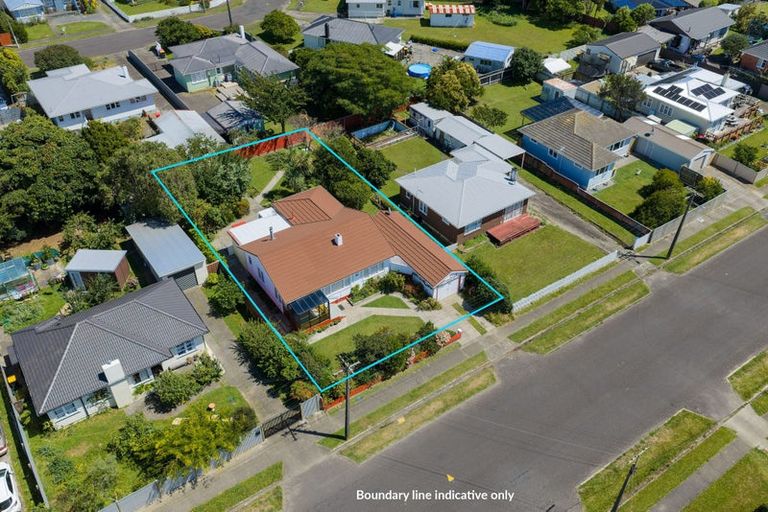 Photo of property in 14 Middlesex Street, Levin, 5510