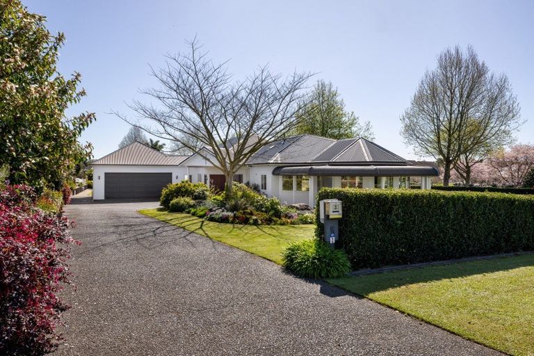 Photo of property in 2r Molloy Rise, Pyes Pa, Tauranga, 3112