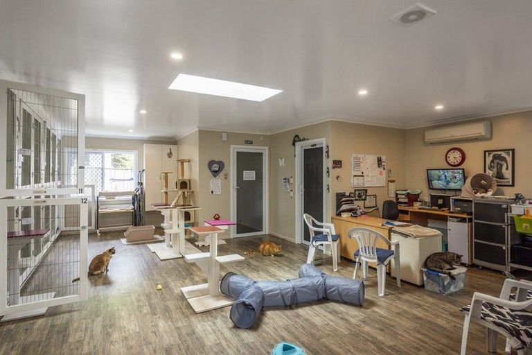 Photo of property in 222 Main Road South, Raumati South, Paraparaumu, 5032