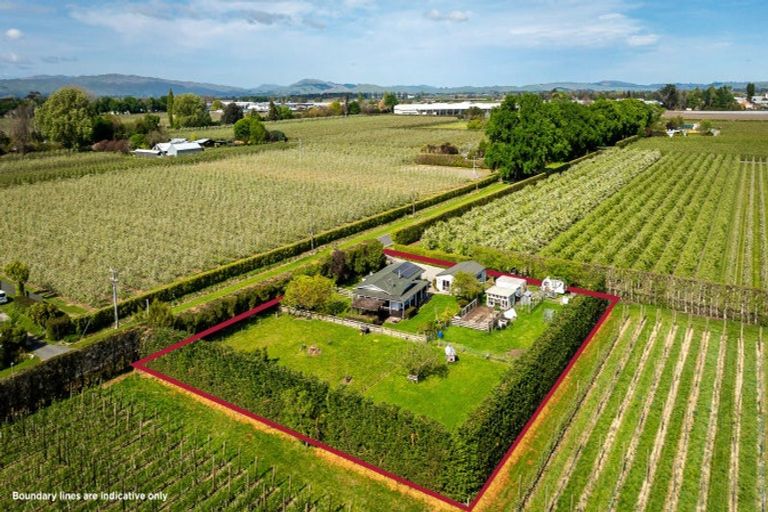 Photo of property in 99 Raupare Road, Twyford, Hastings, 4175