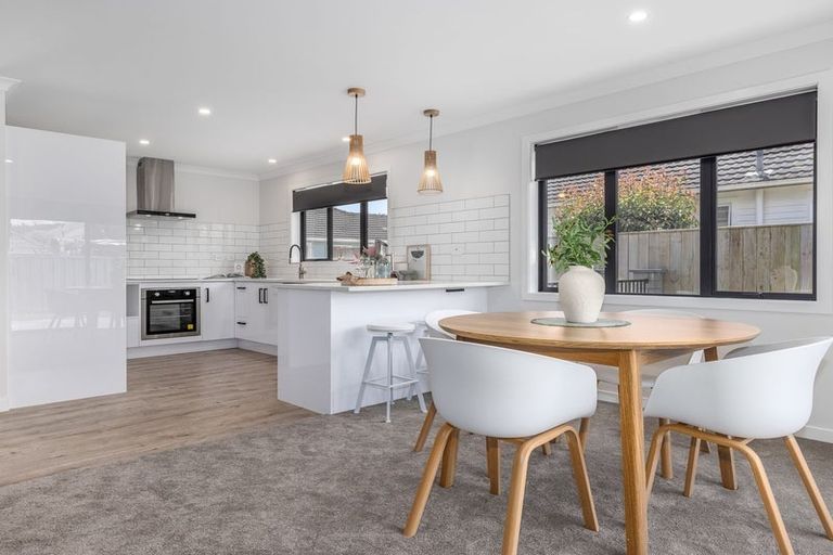 Photo of property in 16a Saint Annes Street, Levin, 5510