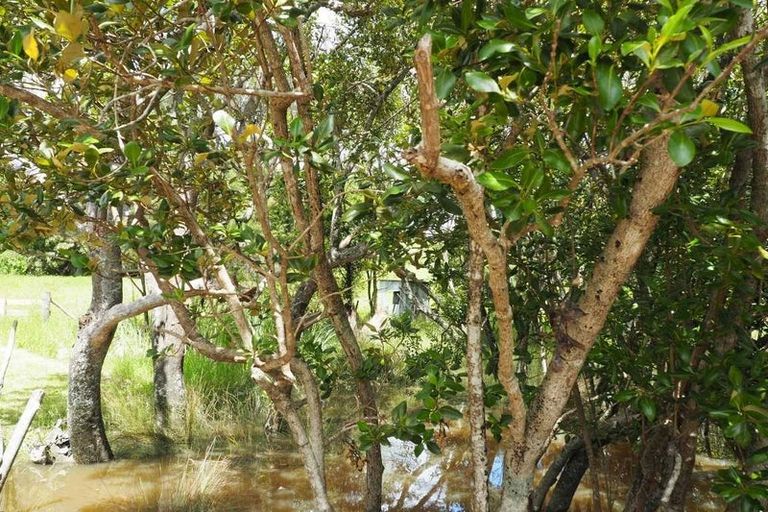 Photo of property in 65 Curtis Road, Rawene, Kaikohe, 0473