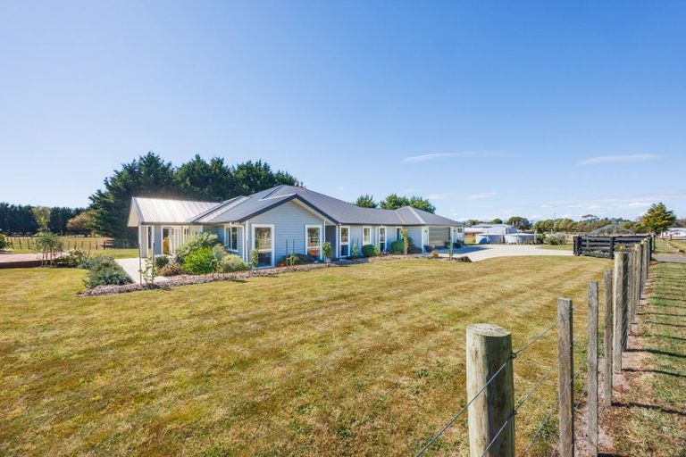 Photo of property in 192a Awahuri Feilding Road, Feilding, 4775
