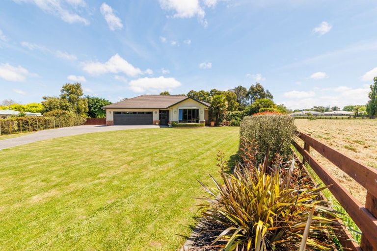 Photo of property in 7 Sherwill Street, Feilding, 4702